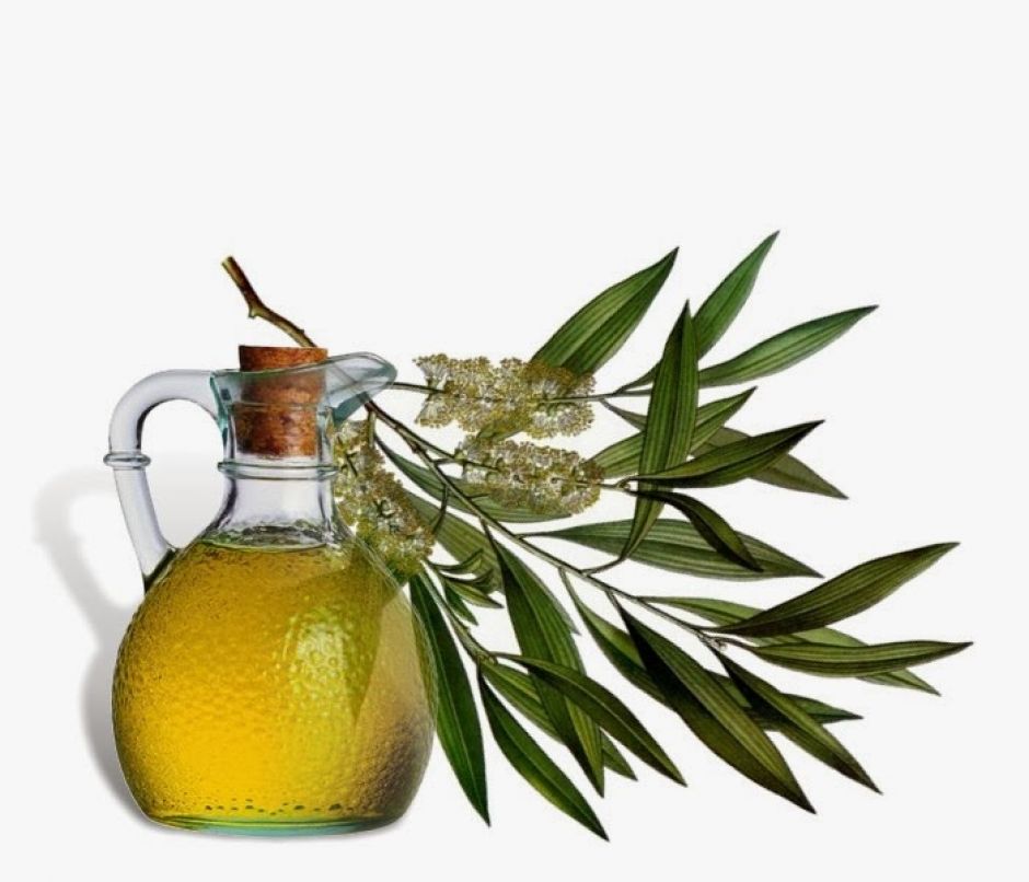 tea-tree-oil for smooth skin